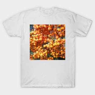 Orange Berries Seaberry T-Shirt